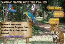 Selvagem em Foco Promove Curso Sobre Fauna em Pirenópolis