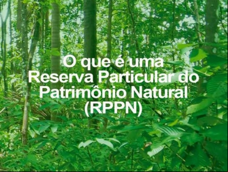 O que é RPPN?