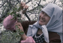 7º Slow Filme em Pirenópolis: SINOPSES