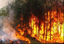 Incêndio na Amazônia